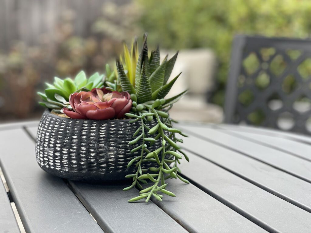 Succulent planter detail in the private patio of one of the cottages